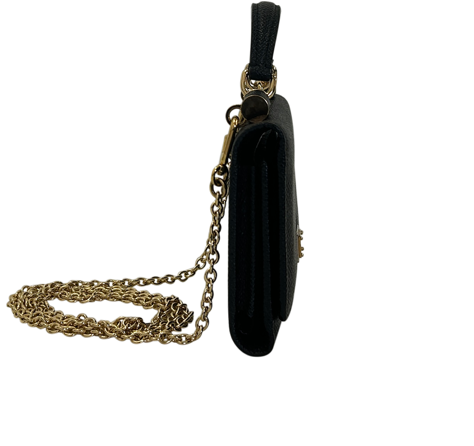 Crossbody Wallet On Chain, 260&euro;, Bolso, Negro, Animal - Piel, Vista lateral